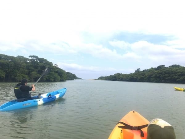 【やまんぐぅ〜】のカヤックツアーで「宮良川のヒルギ林」を冒険！（石垣島）