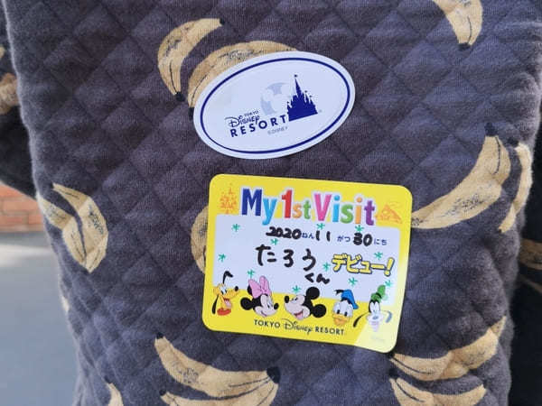  【東京ディズニーランド】コロナ時代でもデビューできる?子供の初ディズニーで知っておきたいこと