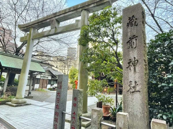 早春の都内で一番美しい神社？ミモザと早咲き桜が彩る蔵前神社へ【台東区】