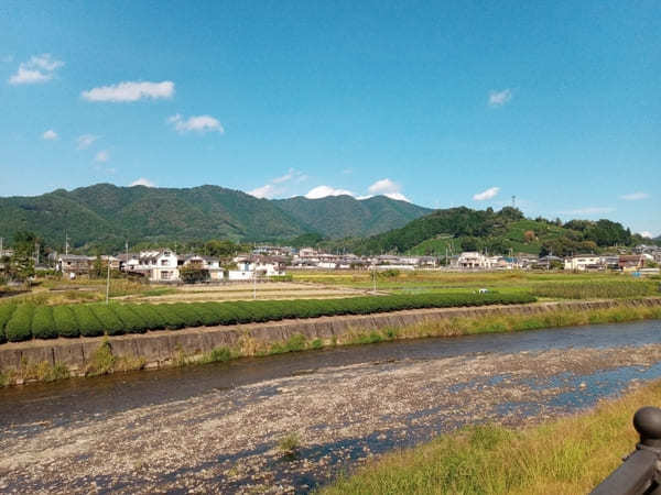 【京都】美しい茶畑が広がる和束町の「和束茶カフェ」に立ち寄ろう