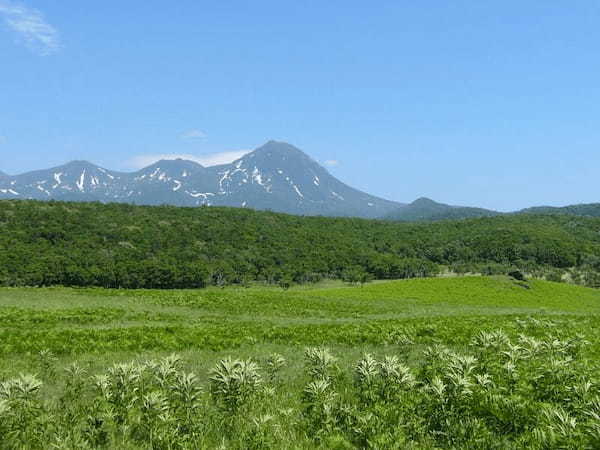 世界自然遺産の「知床」で自然の魅力を満喫しよう！1.jpg