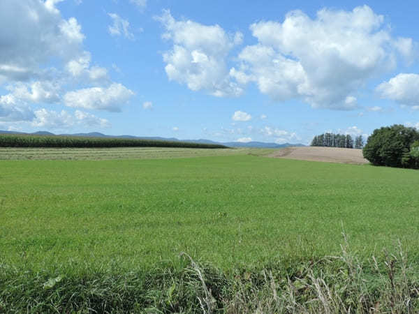 絶景が広がる 北海道 / 美瑛の丘めぐり！