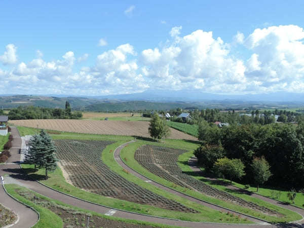 絶景が広がる 北海道 / 美瑛の丘めぐり！