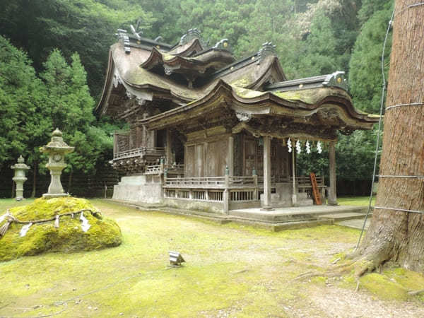 福井県でおすすめの神社9社