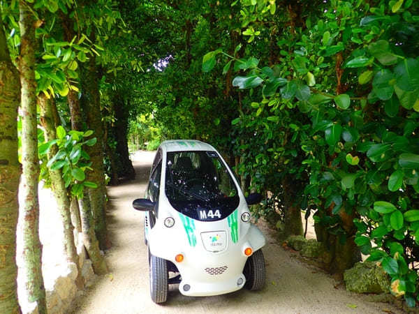 【沖縄北部】移動も楽しい！超小型電気自動車に乗って絶景めぐり！