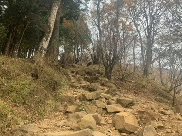 都内からの日帰り登山にも！ケーブルカー無しで楽しむ大山登山のベストコース【神奈川】