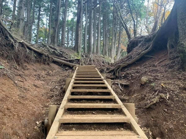 都内からの日帰り登山にも！ケーブルカー無しで楽しむ大山登山のベストコース【神奈川】