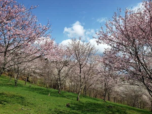 岐阜県の山間にある町【八百津】のおすすめスポット