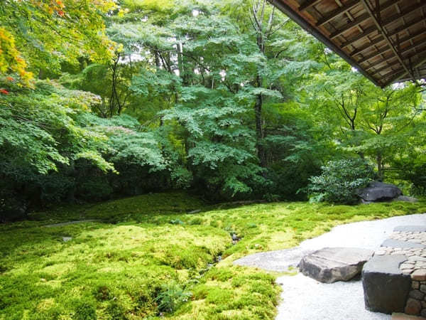 京都でおすすめの寺・神社49選！観光客に人気＆世界遺産の寺社リスト