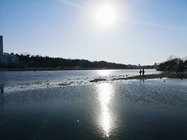 【東京】週末はアウトドアを楽しもう！子連れにおすすめの大型公園10選