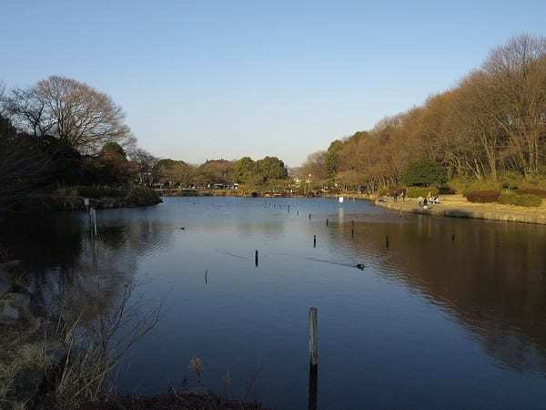 子どもと行きたい横浜のおすすめ公園22選！大型遊具・ロング滑り台など設備充実の公園特集