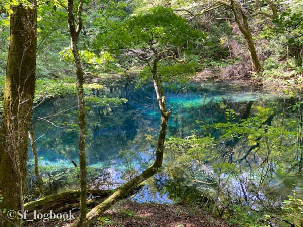 【青森】絶景！コバルトブルーの青池！十二湖トレッキングツアー