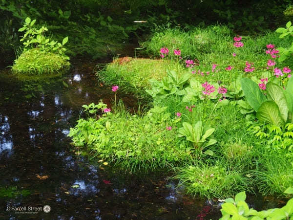 定番以外！雨の日でも！日光で別荘めぐりの日帰り観光ルート