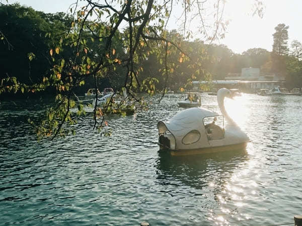 【東京】週末はアウトドアを楽しもう！子連れにおすすめの大型公園10選