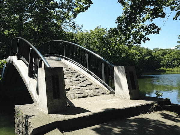 【北海道・七飯町】大沼国定公園の散策・湖上クルーズと仔牛の哺乳体験