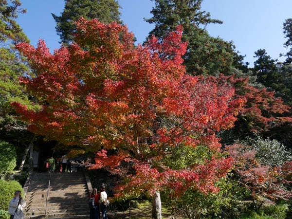 【奈良】紅葉が美しい長岳寺と周辺を散策！ランチのお店も紹介