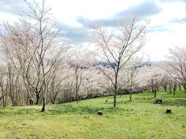 岐阜県の山間にある町【八百津】のおすすめスポット