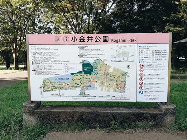 【東京】週末はアウトドアを楽しもう！子連れにおすすめの大型公園10選