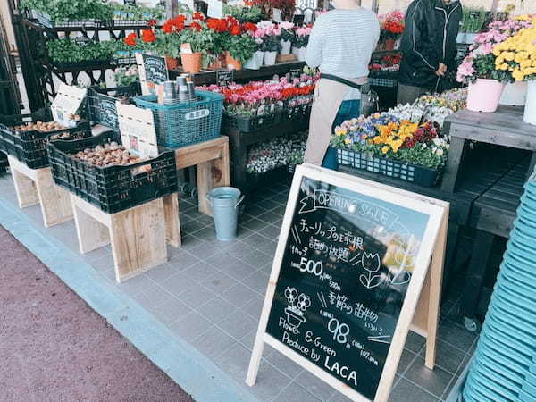 洗剤の量り売りでプラスチックゴミを減らす。「ウエルシア」の新店舗で画期的な取り組み