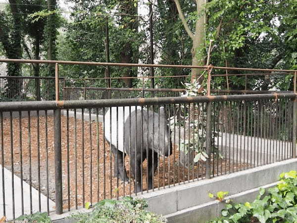 【愛媛】とべ動物園と四国最大級ジップラインで家族皆でマルっと楽しもう！1.jpg