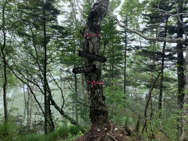 【北海道】然別湖の自然を大満喫！白雲山・天望山・東雲湖をぐるっと1周♪