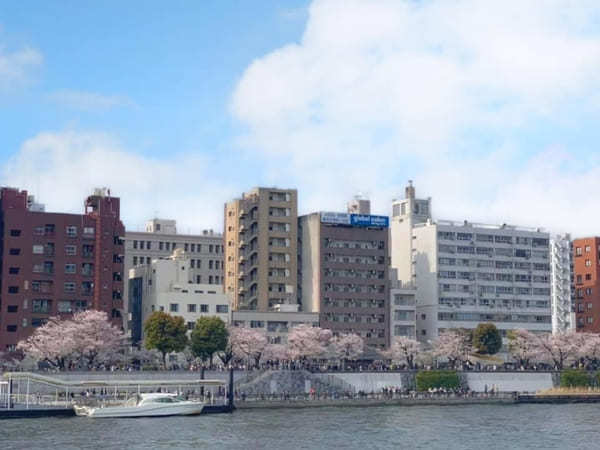 東京23区内の桜の名所！絶対に外さないお花見スポット7選