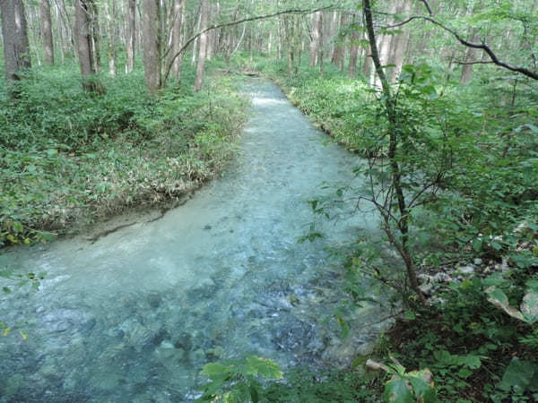 【上高地】美しい自然を大満喫！「かっぱ橋」から「明神池」を散策！