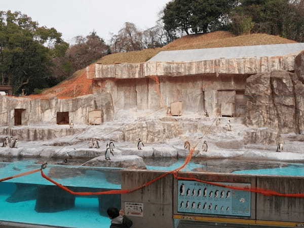 【愛媛】とべ動物園と四国最大級ジップラインで家族皆でマルっと楽しもう！1.jpg