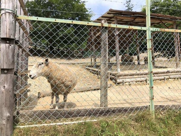 無料でBBQに水遊び！動物とも触れ合える【陶史の森】（岐阜県土岐市）