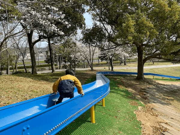 【茨城】オランダ風車とチューリップの穴場スポット「霞ヶ浦総合公園」！1.jpg