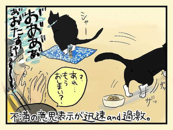 ＜猫漫画＞うちのグルメ猫様、お口に合わない時の反応が…「こんな旦那だったらイヤ！」