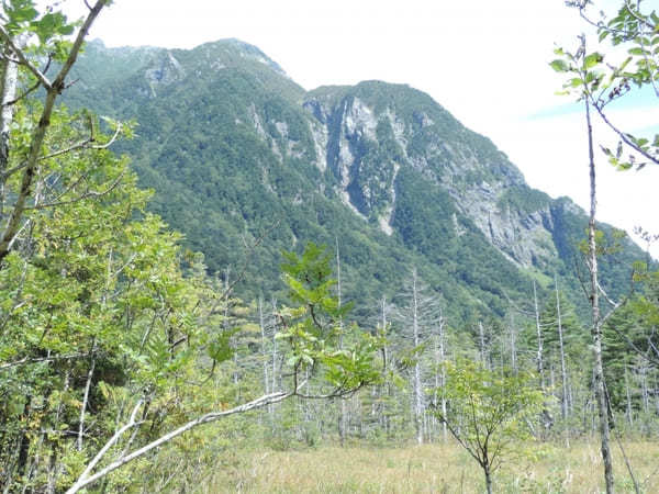 【上高地】美しい自然を大満喫！「かっぱ橋」から「明神池」を散策！