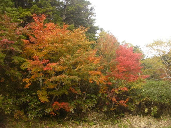 日帰り入浴でも楽しめる、長野のおすすめの温泉❗北信州10選