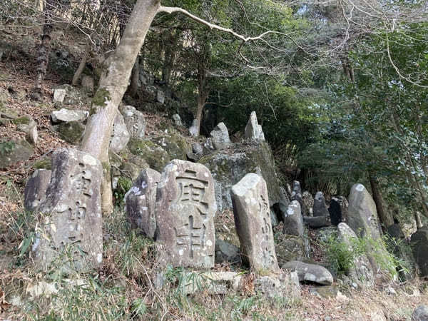 【群馬・あぶた福寿草の里】紅梅と福寿草が楽しめる！周辺オススメ散策スポットも