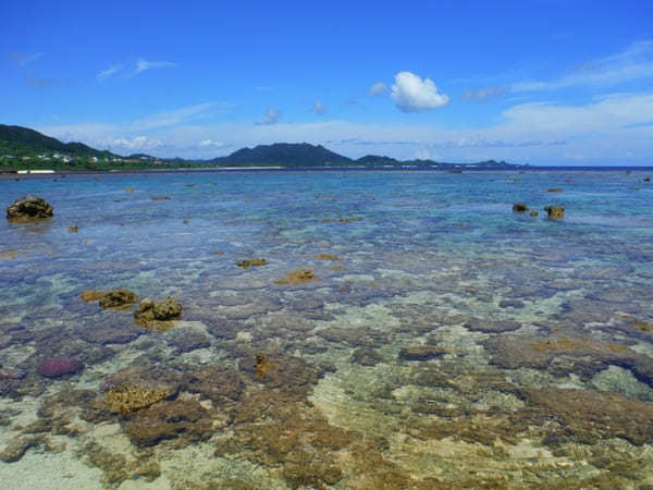 魚の楽園を見にいこう！口コミで大人気の「石垣島・米原ビーチ」