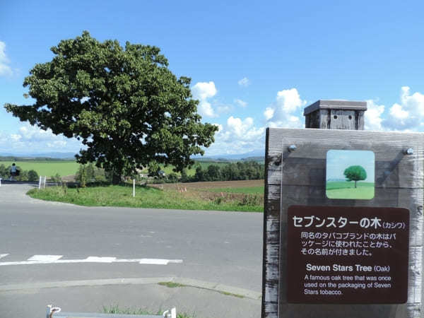 絶景が広がる 北海道 / 美瑛の丘めぐり！