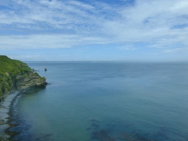 5.jpeg【北海道】道東エリアで感じる大自然！霧多布湿原＆霧多布岬絶景ガイド