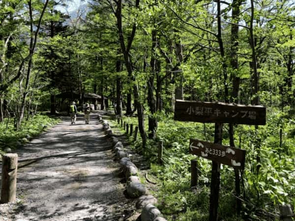 【長野】早朝の上高地を独り占め！上高地キャンプのススメ