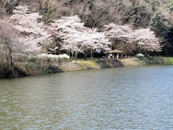 戦国武将ゆかりの地【岐阜県可児市】で歴史と花のスポット巡り！