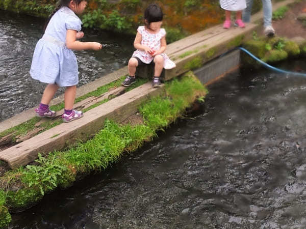 入場無料！家族で遊べる那須高原 南ヶ丘牧場【栃木】