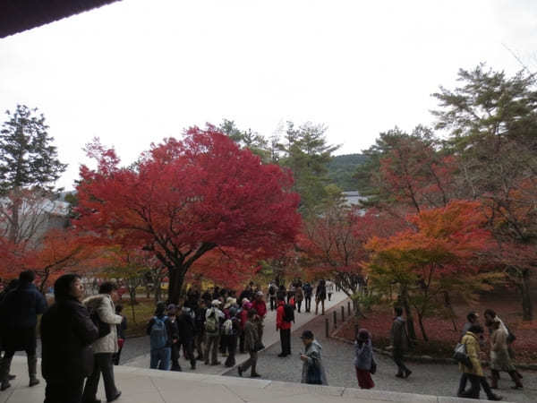 【京都】圧巻の「南禅寺」の紅葉と静寂の庭「無鄰菴」