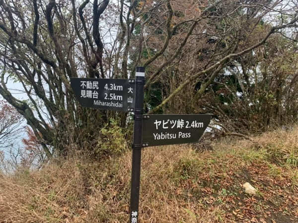 都内からの日帰り登山にも！ケーブルカー無しで楽しむ大山登山のベストコース【神奈川】