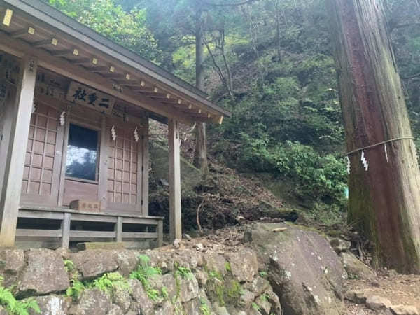 都内からの日帰り登山にも！ケーブルカー無しで楽しむ大山登山のベストコース【神奈川】