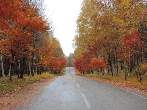 信州の指折り紅葉スポット「横谷渓谷」に出掛けよう！