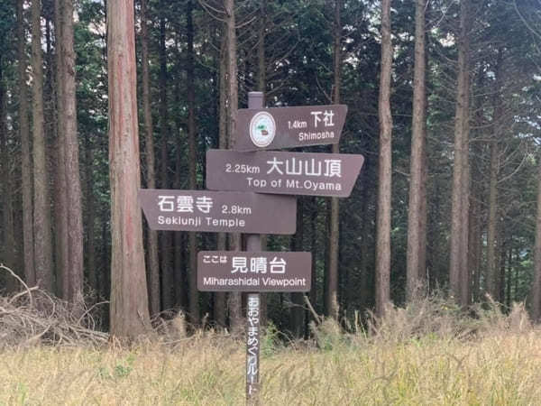 都内からの日帰り登山にも！ケーブルカー無しで楽しむ大山登山のベストコース【神奈川】45.jpg