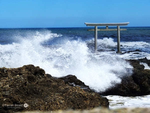 合格祈願から映えスポットまで！茨城の神社11選