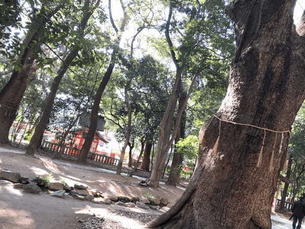 【生田神社】境内の見どころ・巡り方完全ガイド（神戸）6.jpg