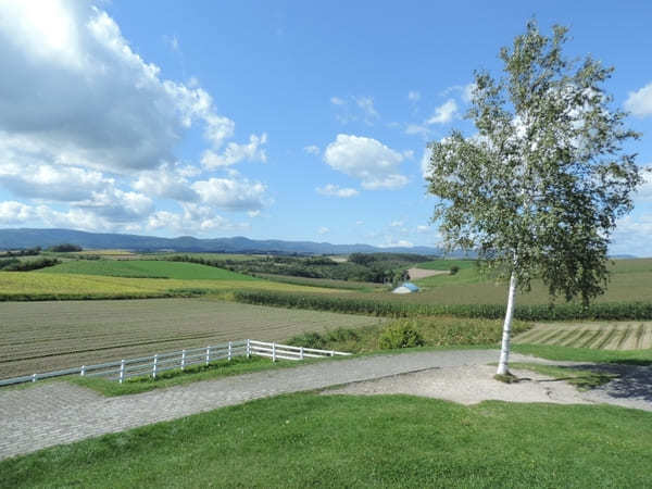 絶景が広がる 北海道 / 美瑛の丘めぐり！