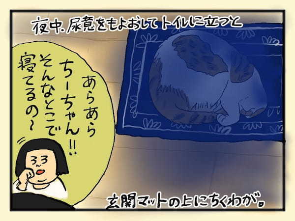 ＜猫漫画＞ギャー！夜中に猫をなでたら…実はとんでもないものだった