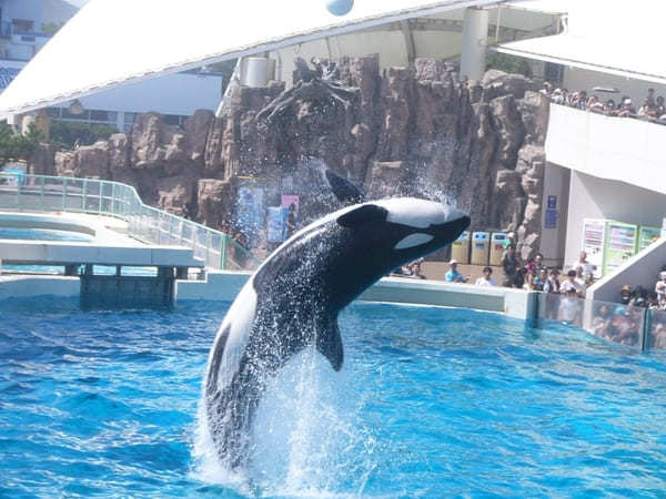 千葉・房総半島の人気スポットへ出かけよう！